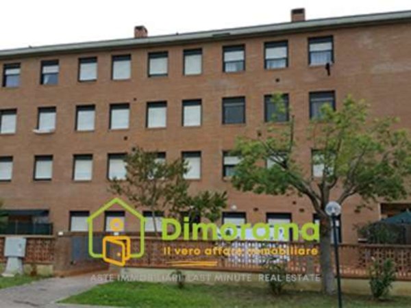 appartamento in vendita a Cecina