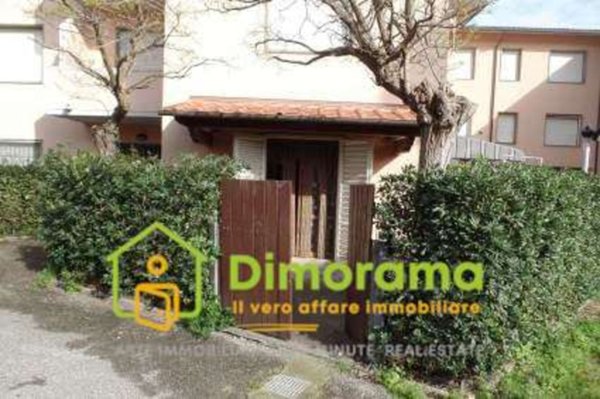 appartamento in vendita a Cecina