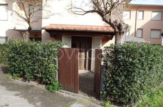 appartamento in vendita a Cecina