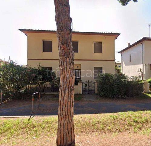 appartamento in vendita a Cecina