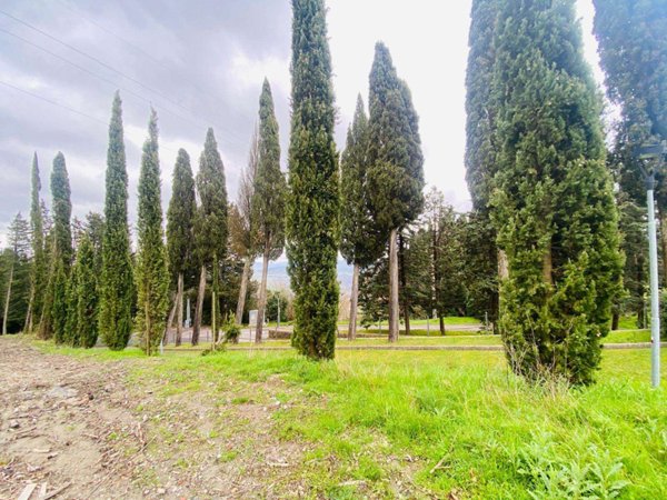 casa indipendente in vendita a Cecina