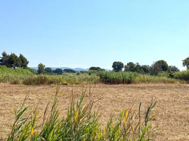 terreno agricolo in vendita a Cecina