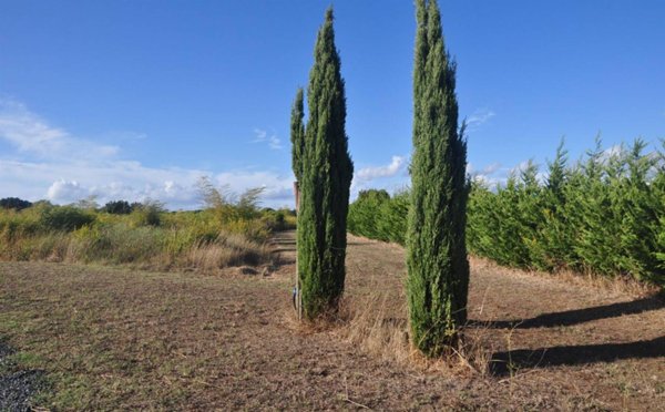 negozio in vendita a Cecina