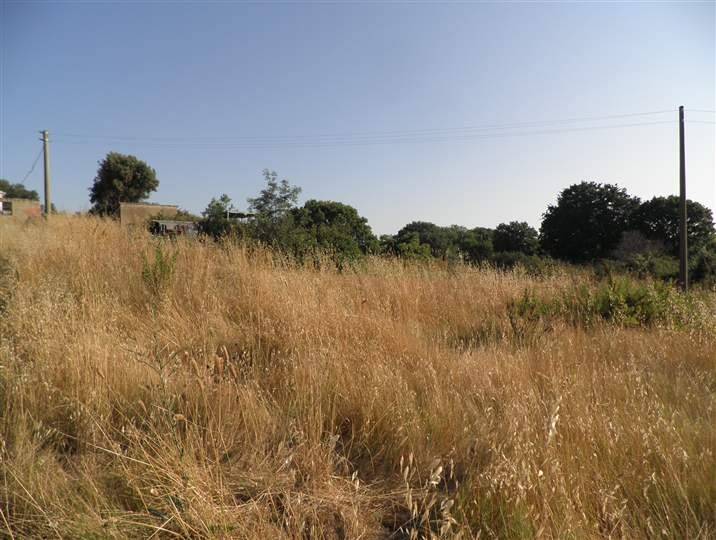 casa indipendente in vendita a Cecina