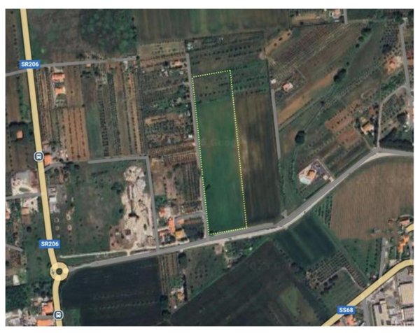 terreno agricolo in vendita a Cecina