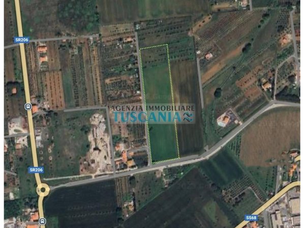 terreno agricolo in vendita a Cecina
