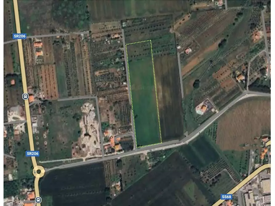 terreno agricolo in vendita a Cecina