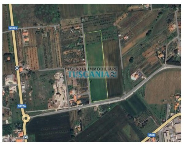 terreno agricolo in vendita a Cecina