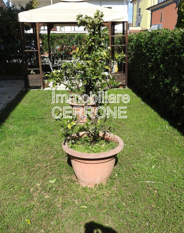 casa indipendente in vendita a Cecina