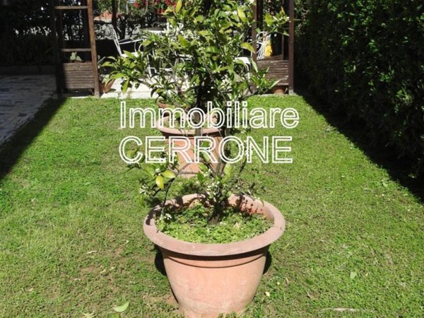 casa indipendente in vendita a Cecina