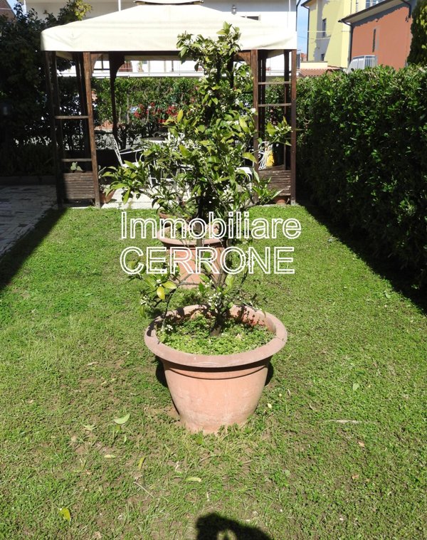 casa indipendente in vendita a Cecina