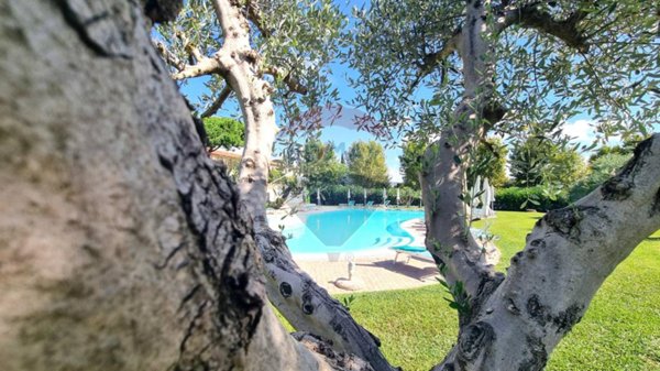 appartamento in vendita a Cecina