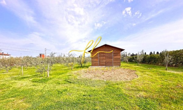 terreno agricolo in vendita a Cecina