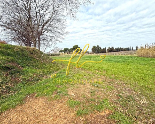 terreno agricolo in vendita a Cecina