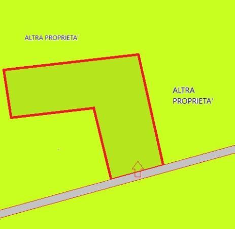 terreno agricolo in vendita a Cecina