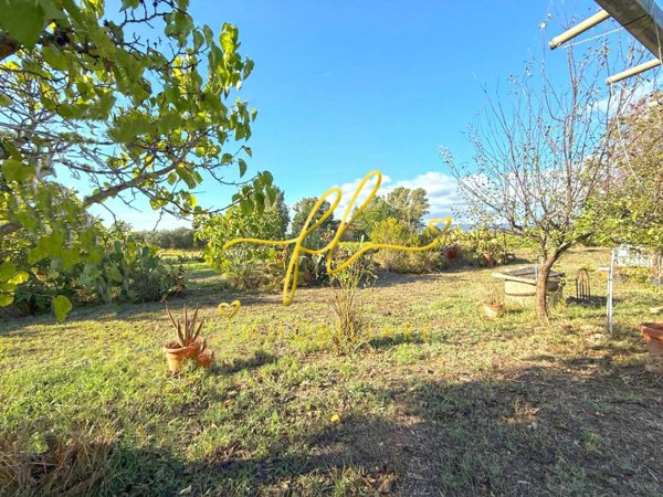 terreno agricolo in vendita a Cecina