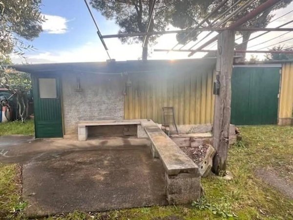 terreno agricolo in vendita a Cecina