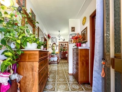 appartamento in vendita a Cecina