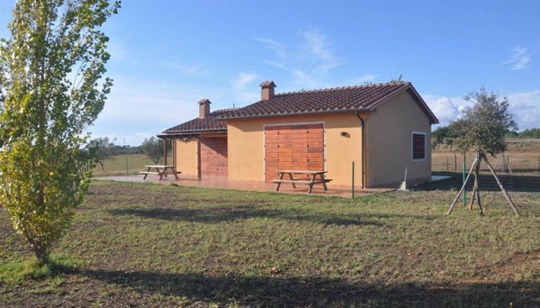 azienda agricola in vendita a Cecina