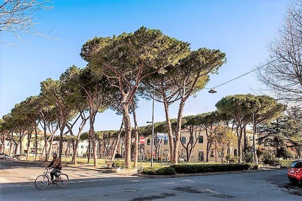 appartamento in vendita a Cecina