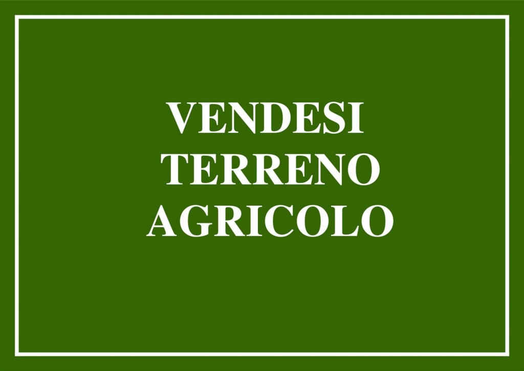 terreno agricolo in vendita a Cecina