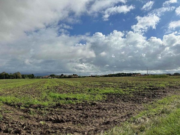 appartamento in vendita a Cecina