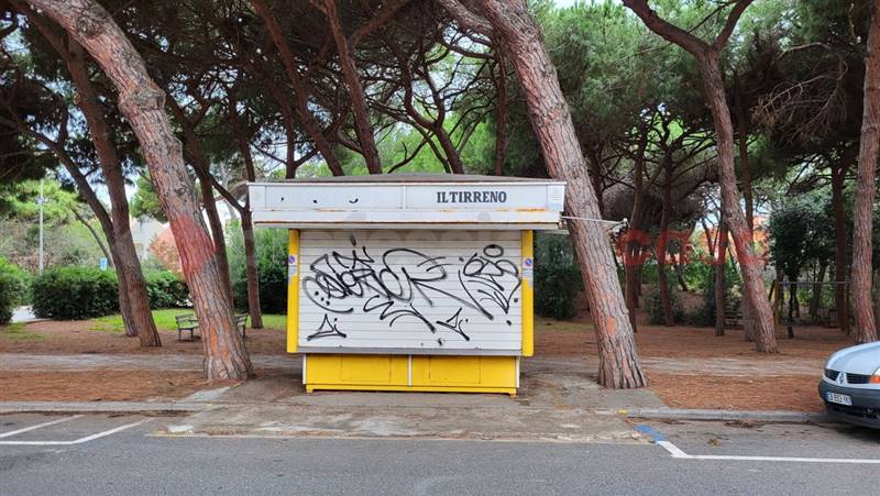 negozio in vendita a Cecina