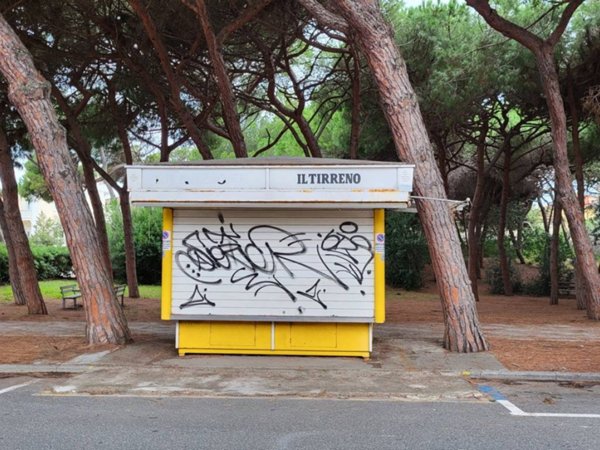 negozio in vendita a Cecina