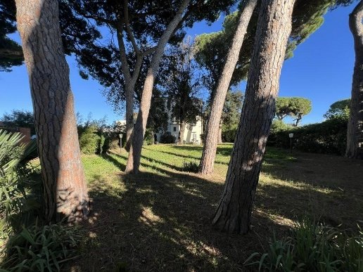 casa indipendente in vendita a Cecina