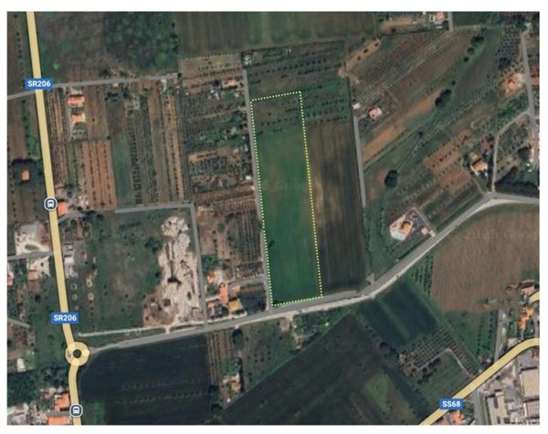 terreno agricolo in vendita a Cecina