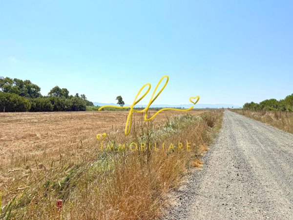 terreno agricolo in vendita a Cecina