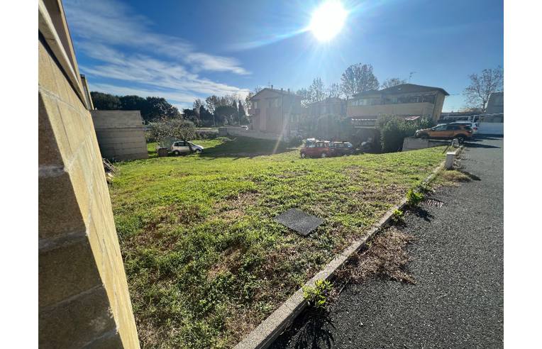 terreno agricolo in vendita a Cecina
