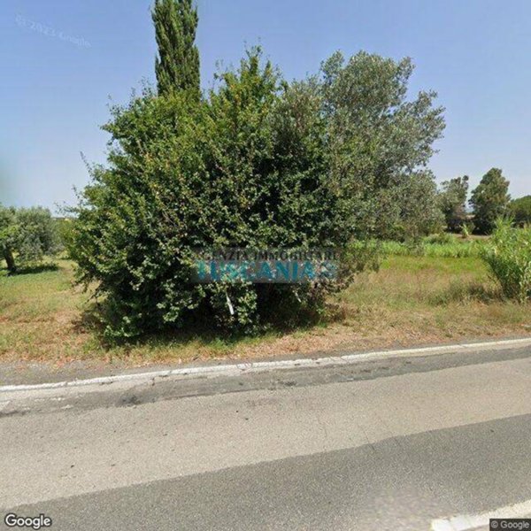terreno agricolo in vendita a Cecina