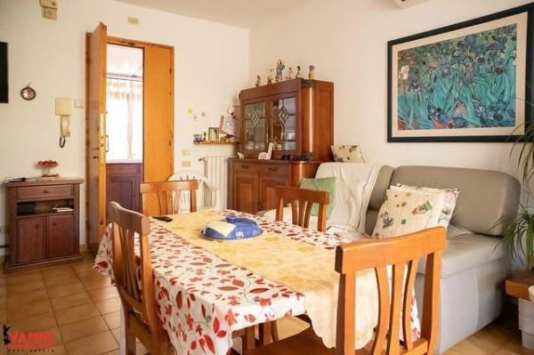 appartamento in vendita a Cecina