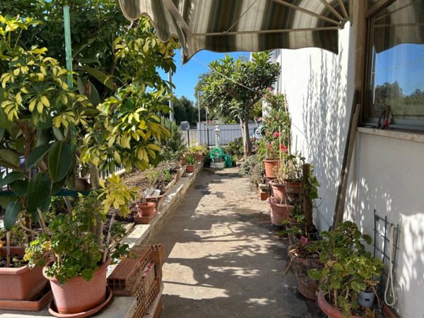 appartamento in vendita a Cecina