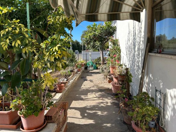 appartamento in vendita a Cecina