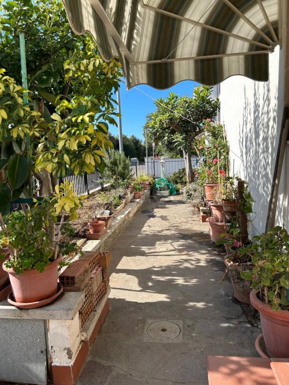 appartamento in vendita a Cecina