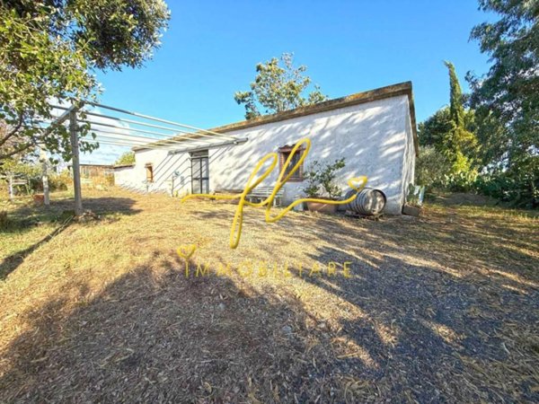 terreno agricolo in vendita a Cecina