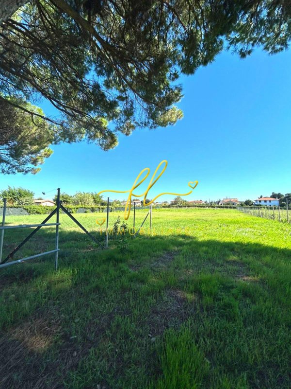 terreno agricolo in vendita a Cecina