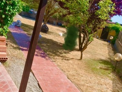 casa indipendente in vendita a Cecina