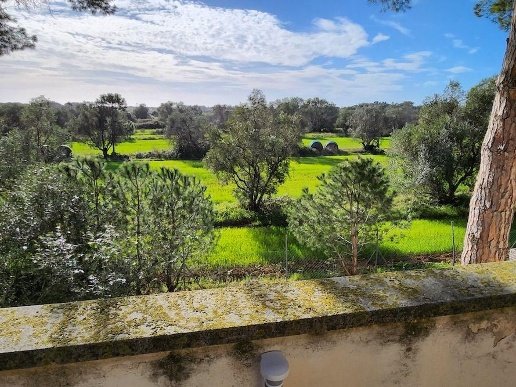 casa indipendente in vendita a Cecina