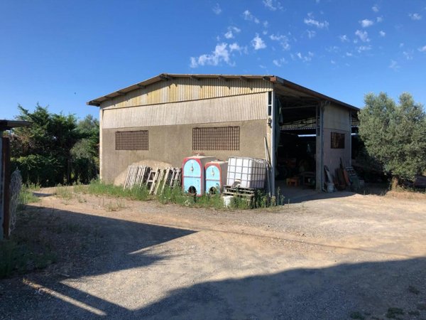 casa indipendente in vendita a Cecina