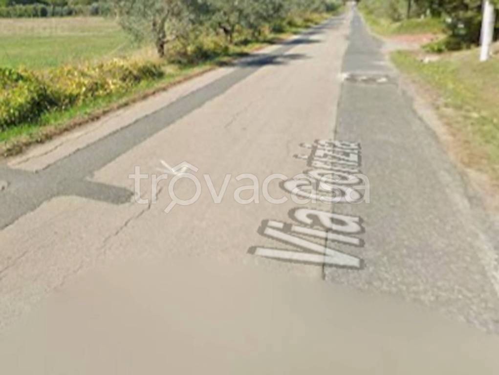 casa indipendente in vendita a Cecina