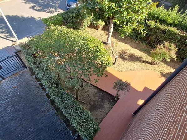 casa indipendente in vendita a Cecina