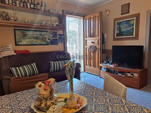 appartamento in vendita a Cecina