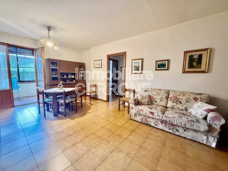 appartamento in vendita a Cecina