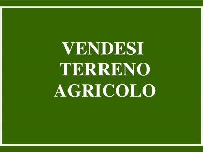 terreno agricolo in vendita a Cecina