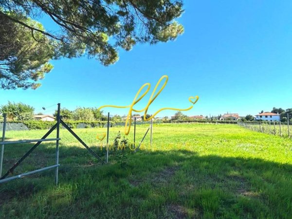 terreno agricolo in vendita a Cecina