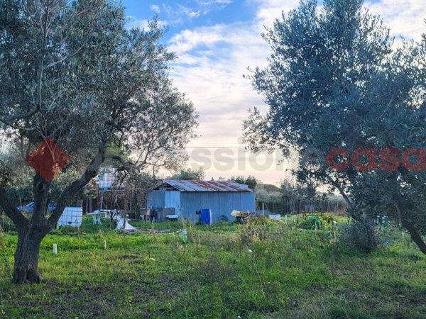 villetta a schiera in vendita a Cecina