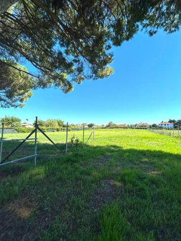 terreno agricolo in vendita a Cecina